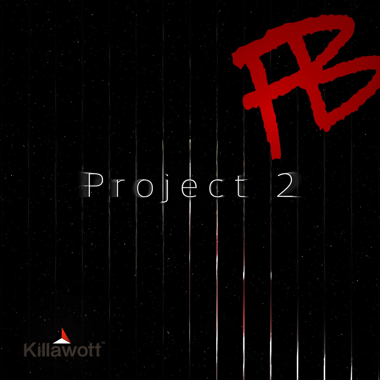 Project 2