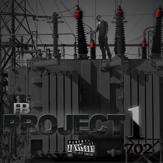 Project 1